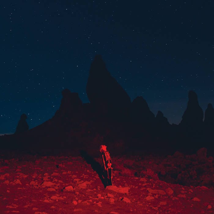 Punisher (Album Review)